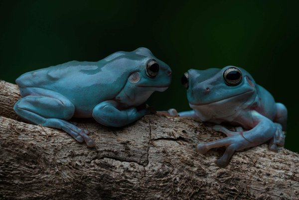 Comment intégrer des accessoires de couleur vive dans une tenue monochrome ?